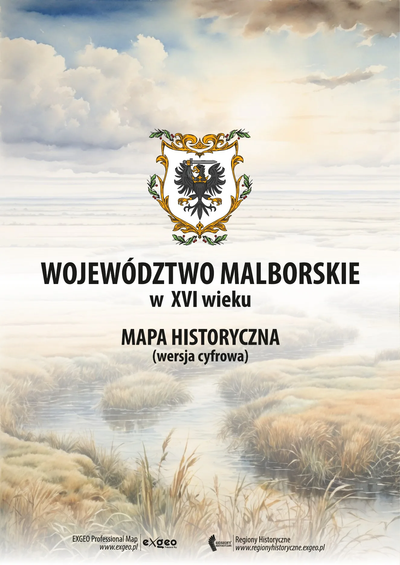 Okładka: Województwo malborskie w XVI w.